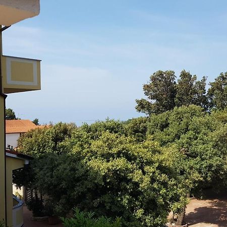 Premium Appartments Suha Punta Kampor Exteriér fotografie