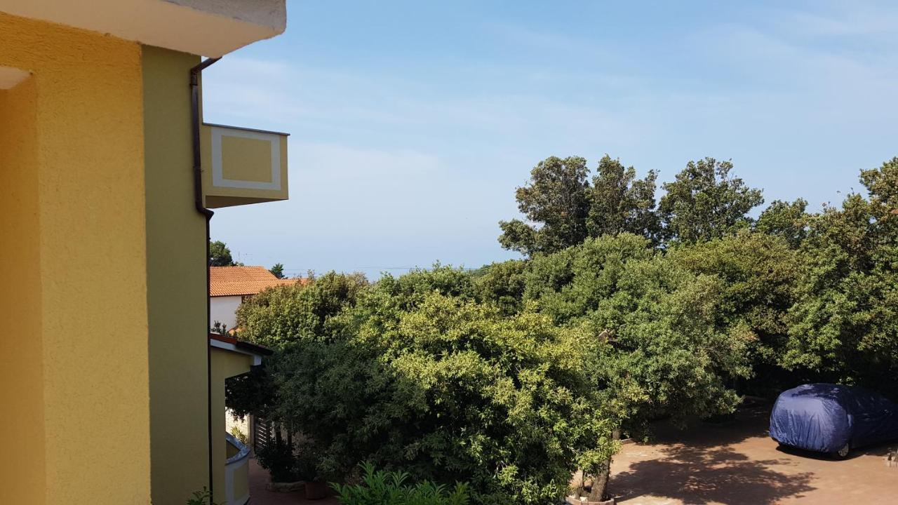 Premium Appartments Suha Punta Kampor Exteriér fotografie